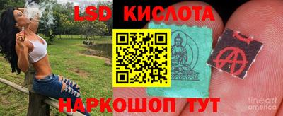 эйфоретик Тара