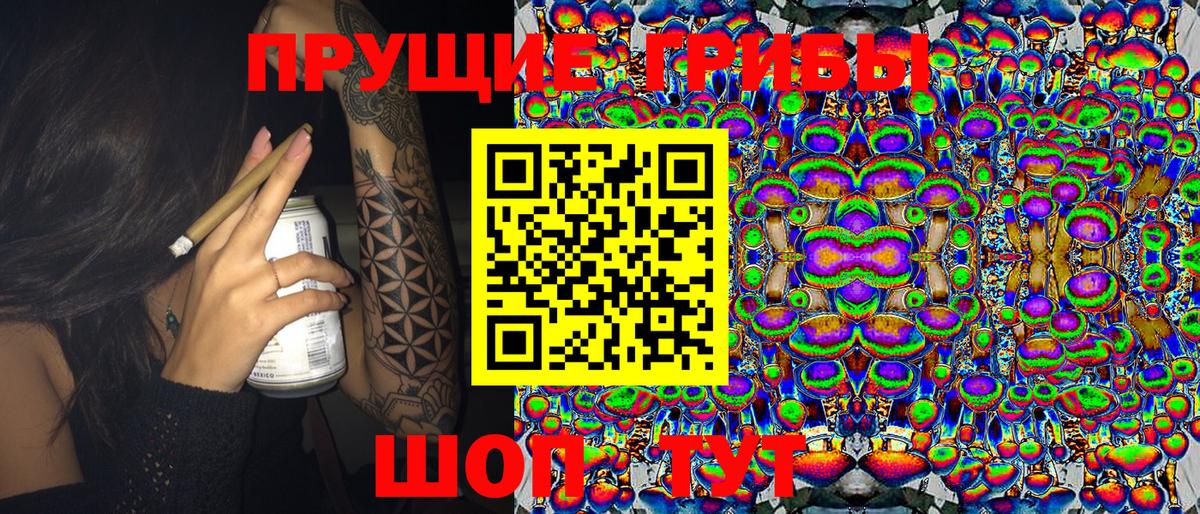 Галлюциногенные грибы Psilocybine cubensis Березники