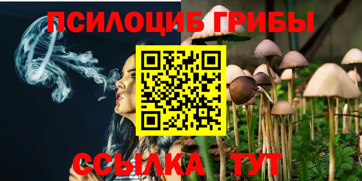 Галлюциногенные грибы MAGIC MUSHROOMS  Вход с VPN  Галлюциногенные грибы Psilocybe  Березники 