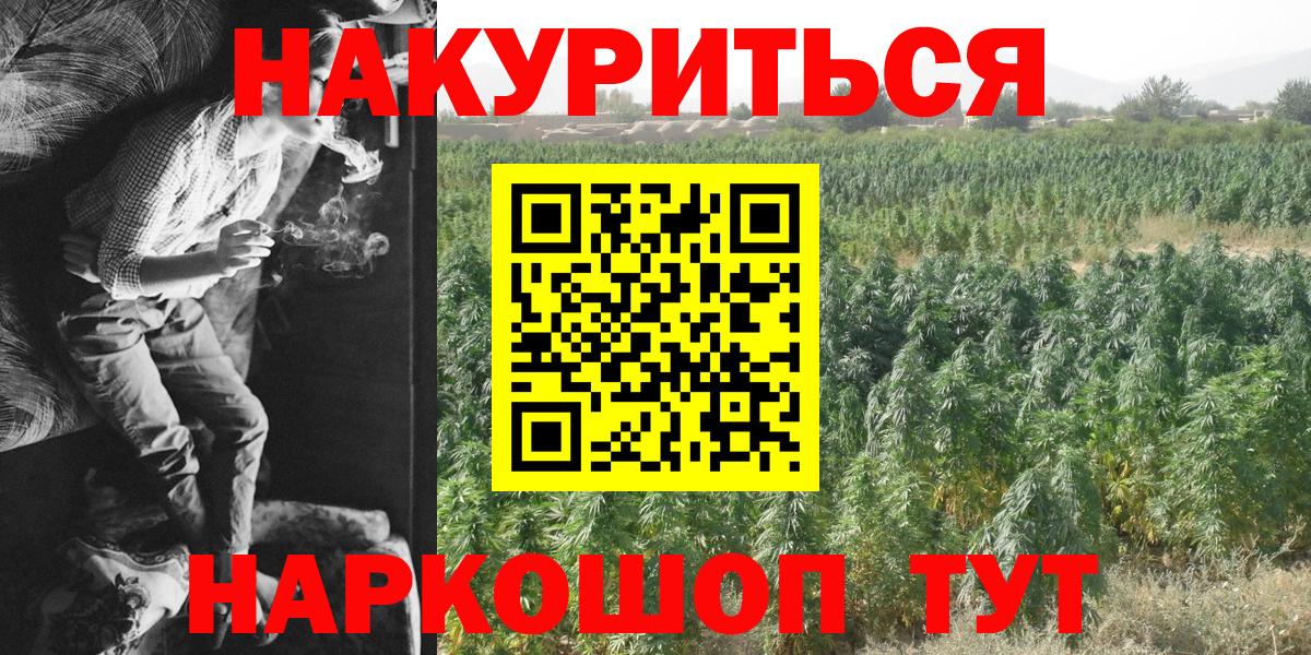 Канабис планчик  Марихуана OG Kush  Березники  Канабис ГИДРОПОН  Канабис VHQ  Вход с VPN 