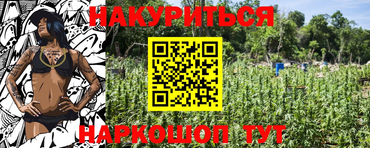 Марихуана планчик  Канабис индика  Березники  Бошки Шишки Amnesia 